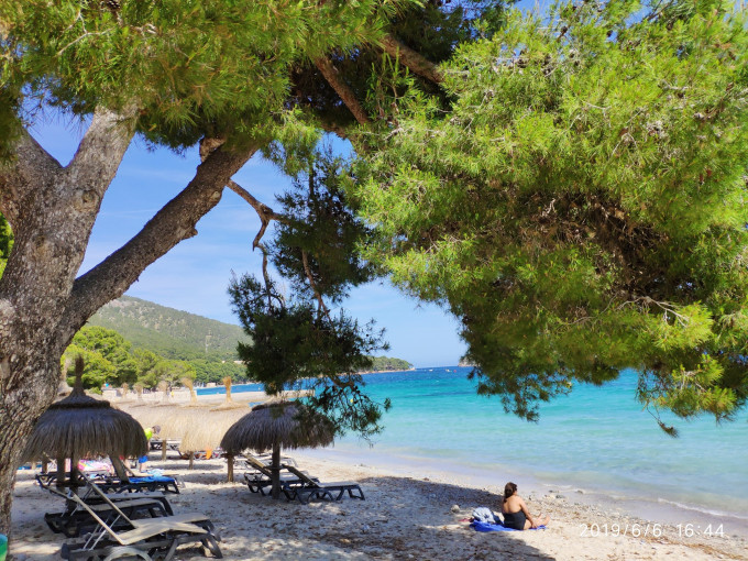 bet365-帕尔马多水花横扫马洛卡，全队士气高涨的简单介绍